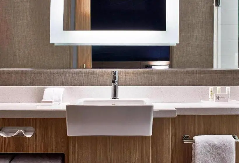 キングサイズベッドのスイートルーム, Springhill Suites by Marriott Nashville Downtown/Convention Center