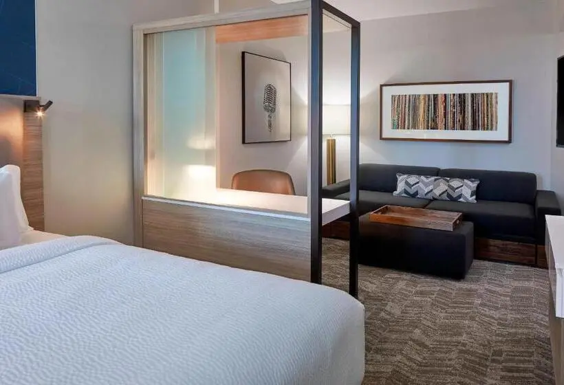 キングサイズベッドのスイートルーム, Springhill Suites by Marriott Nashville Downtown/Convention Center