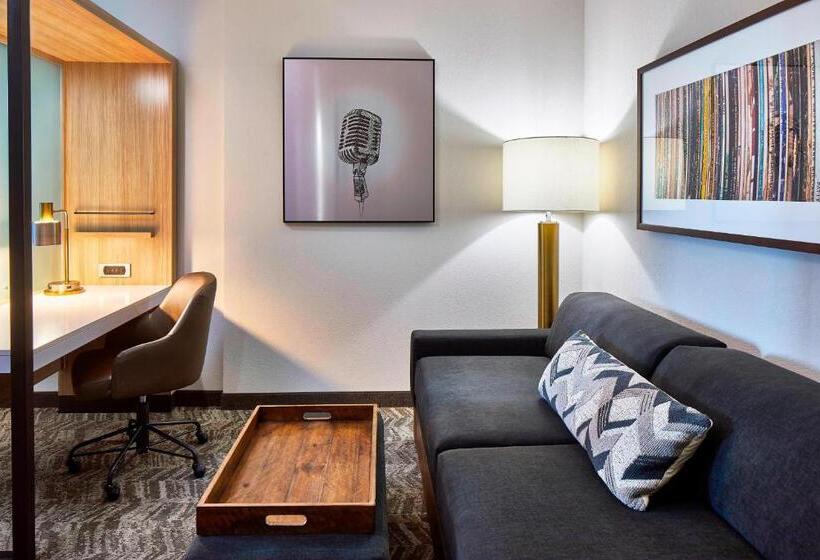 Suite King Size Bed, Springhill Suites By Marriott Nashville Downtown/convention Center