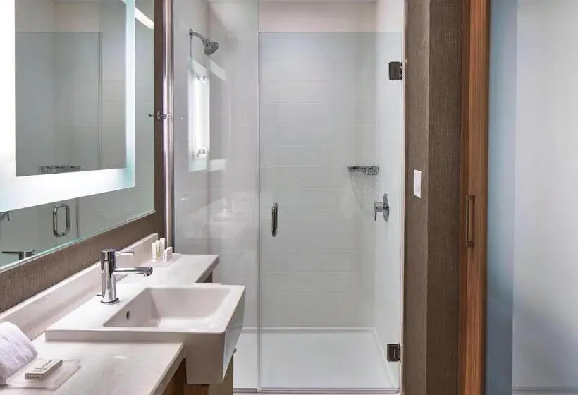 スイート, Springhill Suites by Marriott Nashville Downtown/Convention Center