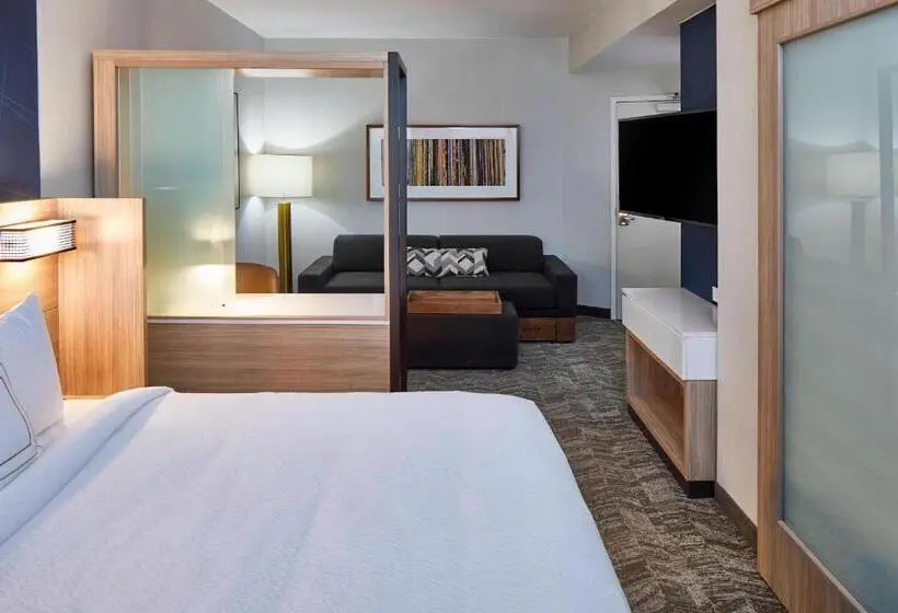 身障者適用スイートルーム, Springhill Suites by Marriott Nashville Downtown/Convention Center