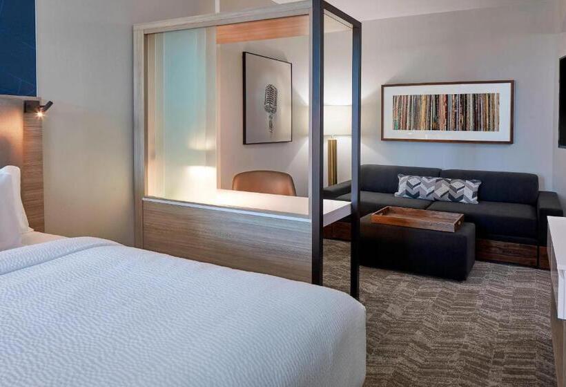 Mozgáskorlátozott Suite, Springhill Suites By Marriott Nashville Downtown/convention Center
