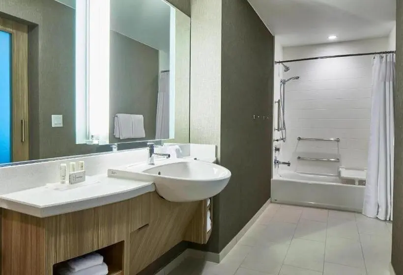 クイーンサイズベッドのスイートルーム, Springhill Suites by Marriott Nashville Downtown/Convention Center