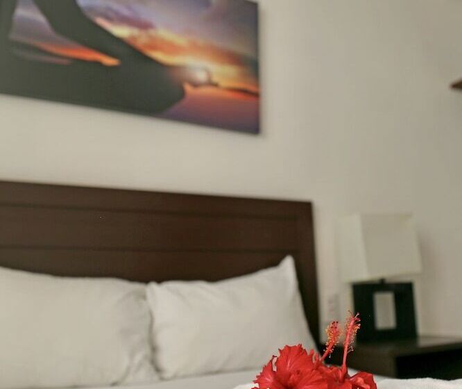 小型套房, Zenharmony Suites