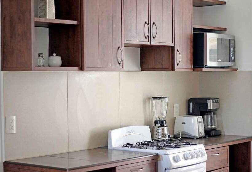 小型套房, Zenharmony Suites