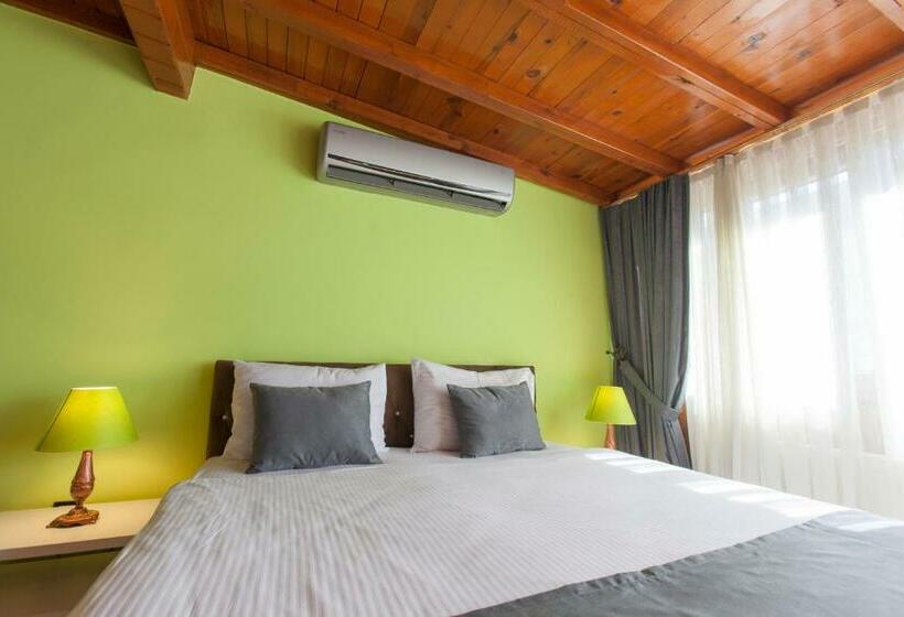 اتاق استاندارد یک نفره, Iq Hotel Beyoğlu