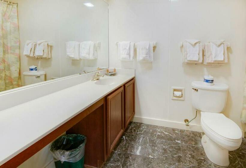 2ベッドルームアパートメント, La Plaza Apartments