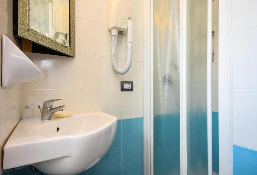 Номер Стандарт, B&b America