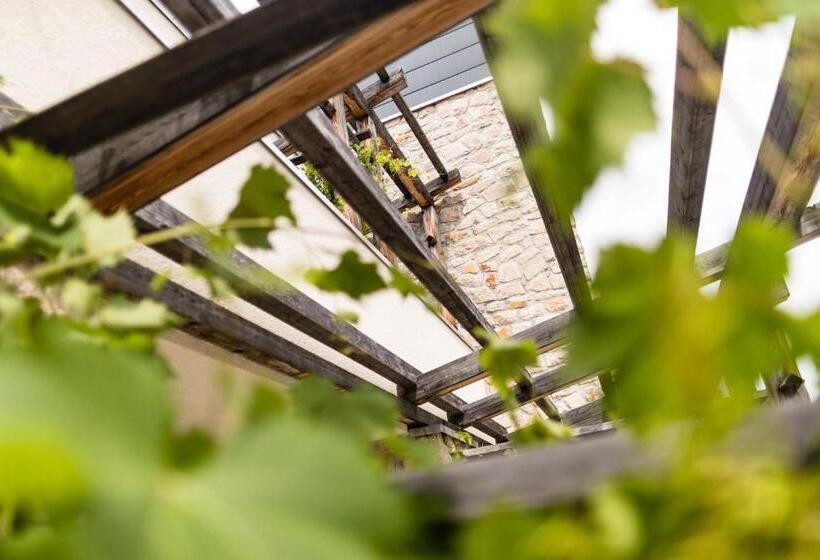 סוויטת ג'וניור עם טרסה, Hasslhof