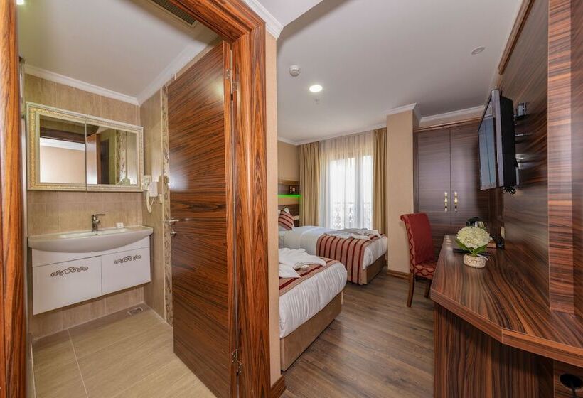 اتاق استاندارد, Vision Deluxe