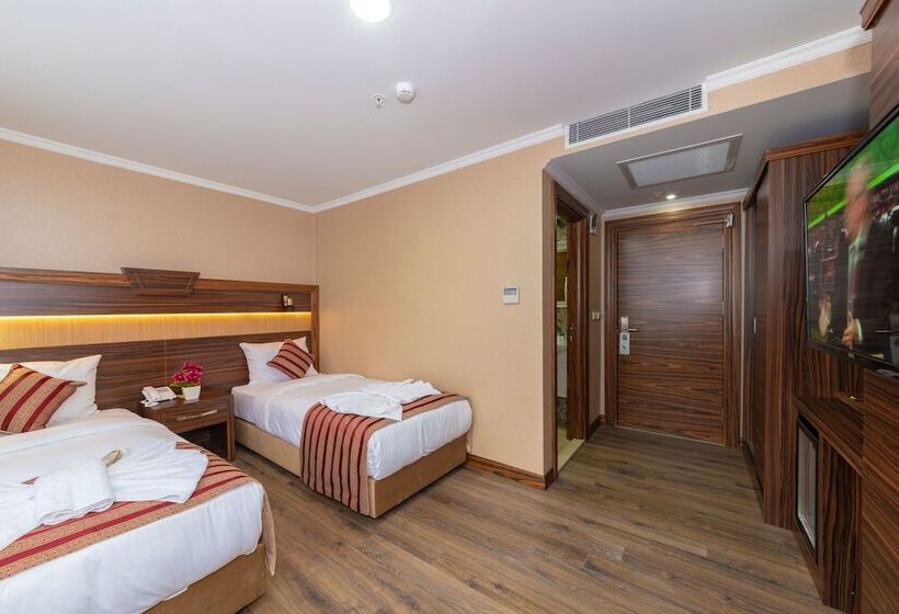 اتاق استاندارد, Vision Deluxe