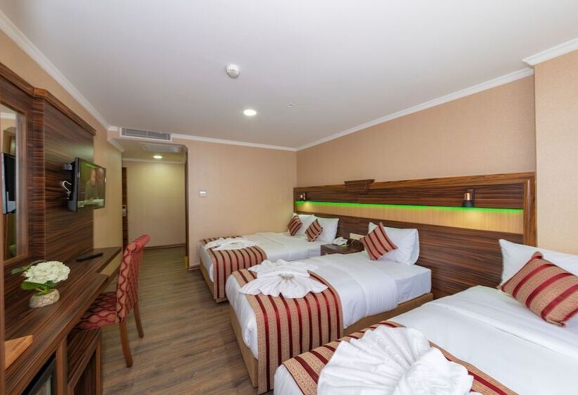 اتاق استاندارد سه نفره, Vision Deluxe