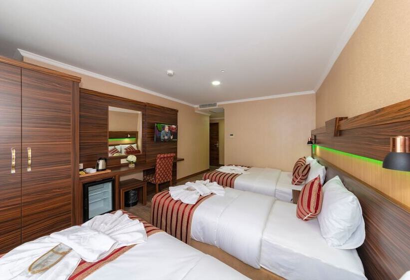 اتاق استاندارد سه نفره, Vision Deluxe