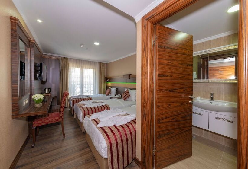 اتاق استاندارد سه نفره, Vision Deluxe