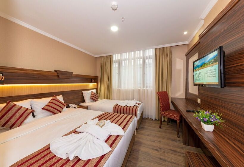 اتاق استاندارد سه نفره, Vision Deluxe