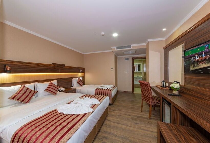 اتاق استاندارد سه نفره, Vision Deluxe