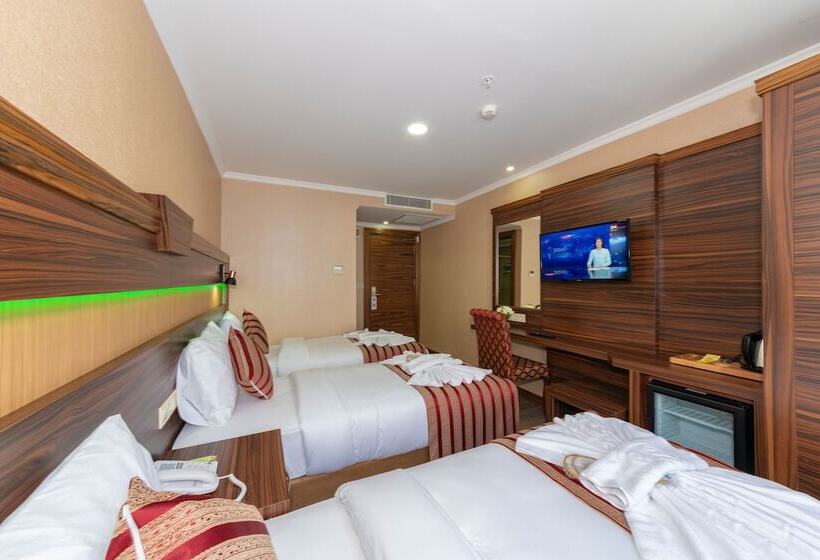 اتاق استاندارد سه نفره, Vision Deluxe