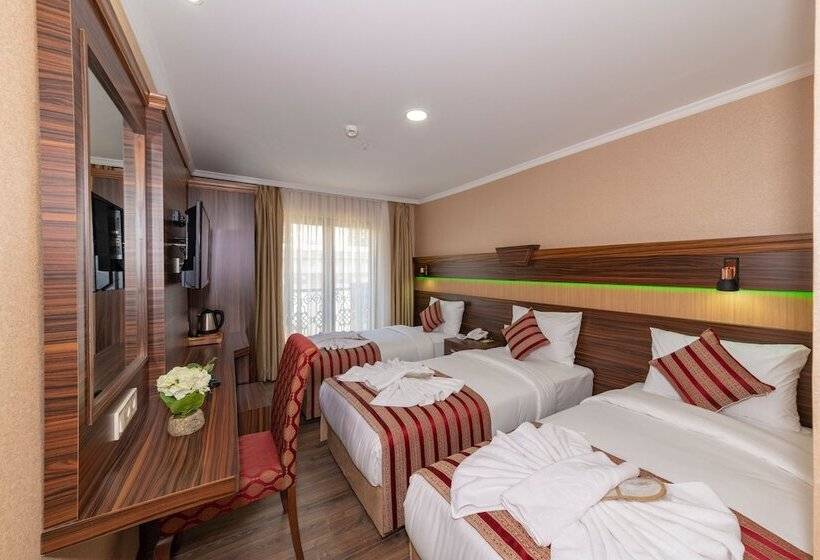 اتاق استاندارد سه نفره, Vision Deluxe