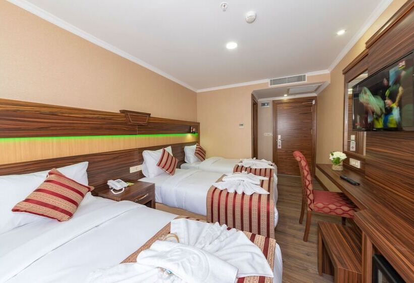 اتاق استاندارد چهار تخته, Vision Deluxe