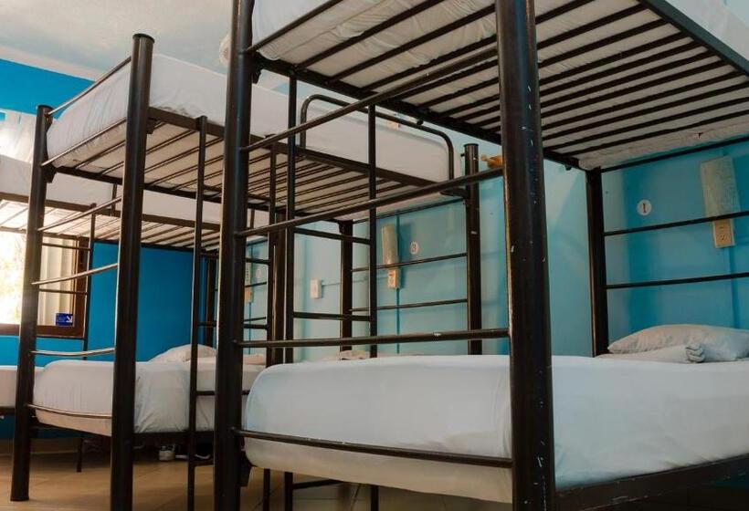 Кровать в Общей Комнате, 3b Wellness Hotel & Hostel