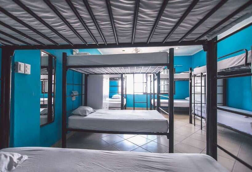تختخواب در اتاق مشترک, 3b Wellness Hotel & Hostel