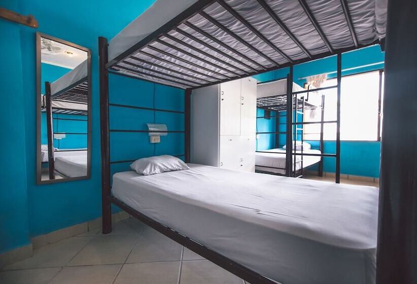 Кровать в Общей Комнате, 3b Wellness Hotel & Hostel