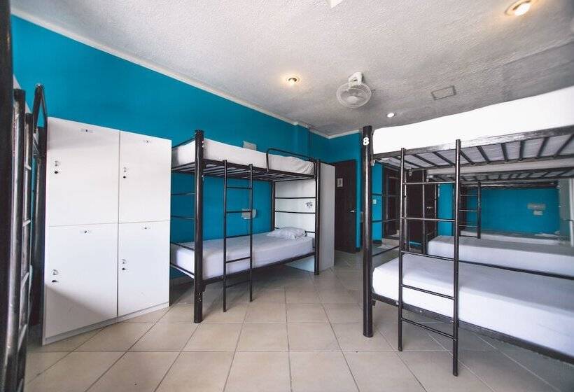 Кровать в Общей Комнате, 3b Wellness Hotel & Hostel