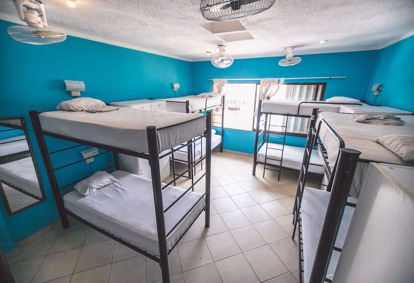 Кровать в Общей Комнате, 3b Wellness Hotel & Hostel