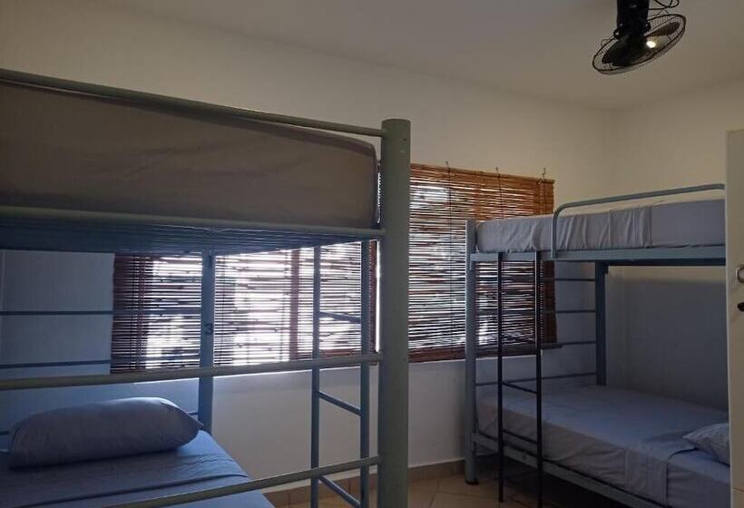 Кровать в Общей Комнате, 3b Wellness Hotel & Hostel