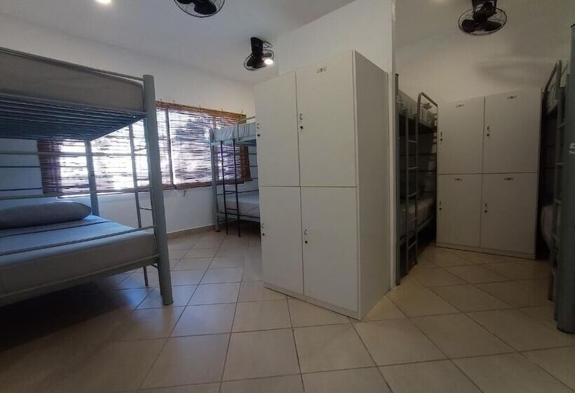 Кровать в Общей Комнате, 3b Wellness Hotel & Hostel