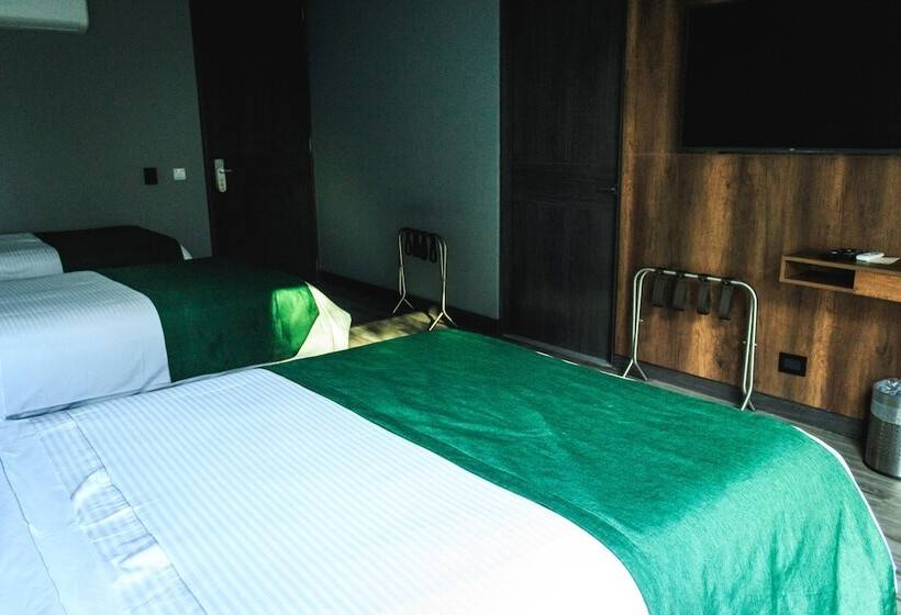 수피리어 트리플 룸, Café Hotel Medellín