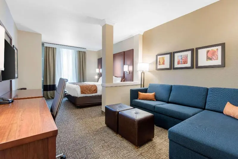 キングサイズベッドのスイートルーム, Comfort Suites Denver International Airport