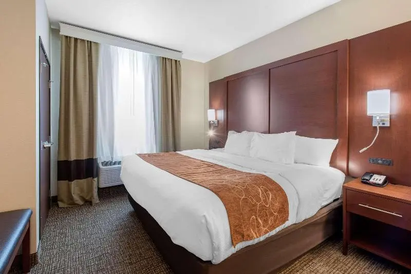 キングサイズベッドのスイートルーム, Comfort Suites Denver International Airport