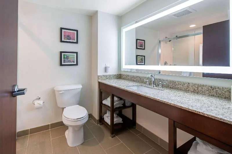 スイート, Comfort Suites Denver International Airport