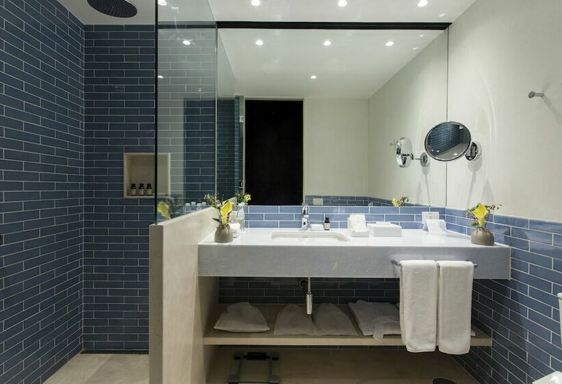 高级大房间, Fasano Salvador