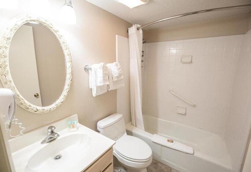 带1个卧室的公寓, Ocean View At Island Club