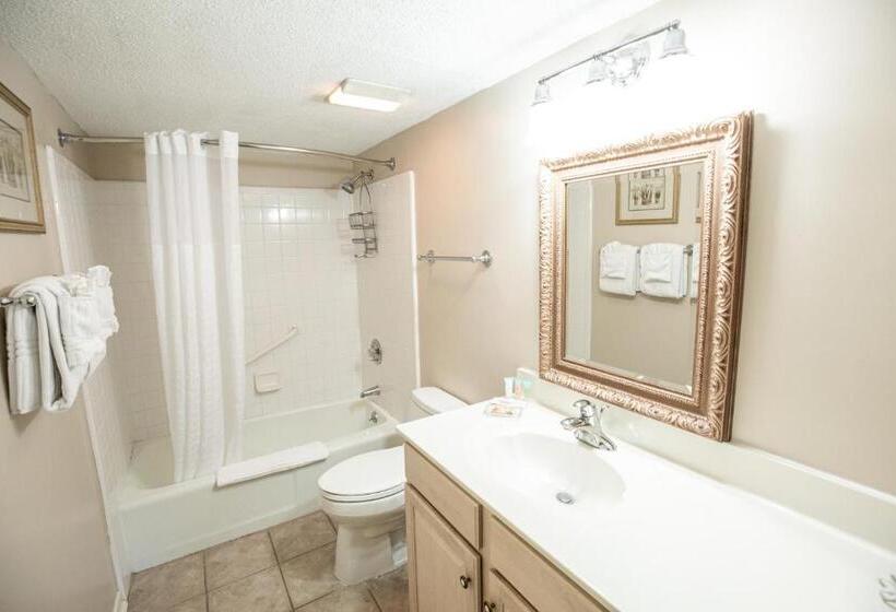 带1个卧室的公寓, Ocean View At Island Club