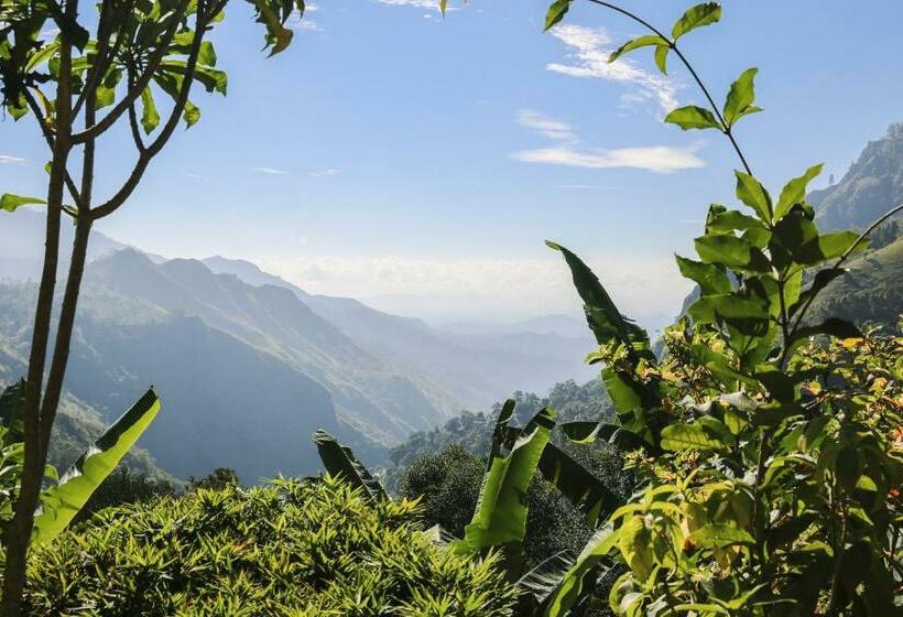 اتاق استاندارد, Sky Green Resort