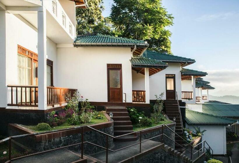 اتاق استاندارد, Sky Green Resort