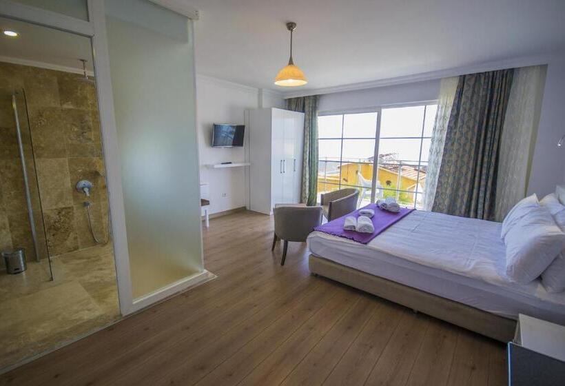 اتاق لوکس, Kelebek Studio Apartments