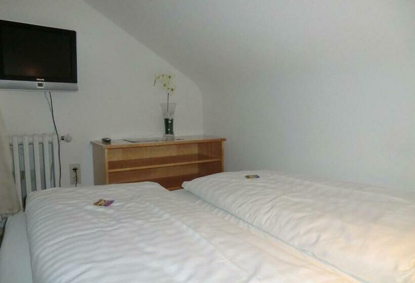 1침실 펜트하우스 아파트, Appart International Boarding House