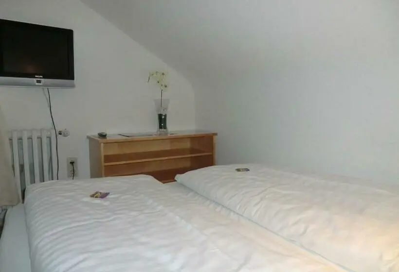1ベッドルームペントハウスアパート, Appart International Boarding House