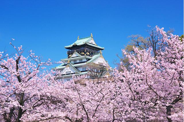 اتاق استاندارد یک نفره, Eins Inn Umedahigashi