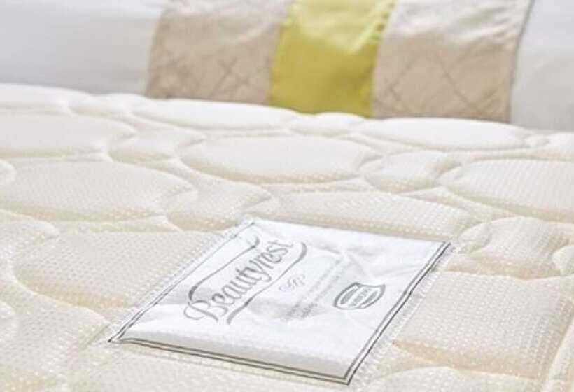 اتاق استاندارد یک نفره, Eins Inn Umedahigashi