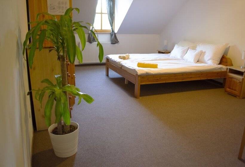 חדר סטנדרט, Grand Slam Park Inn