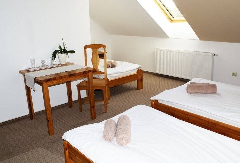 חדר לארבעה סטנדרטי עם נוף לגינה, Grand Slam Park Inn