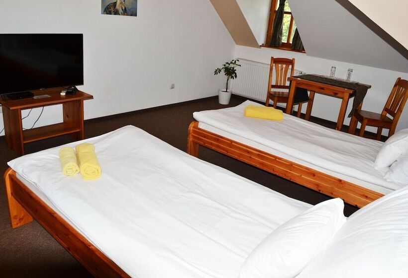 חדר סטנדרט, Grand Slam Park Inn