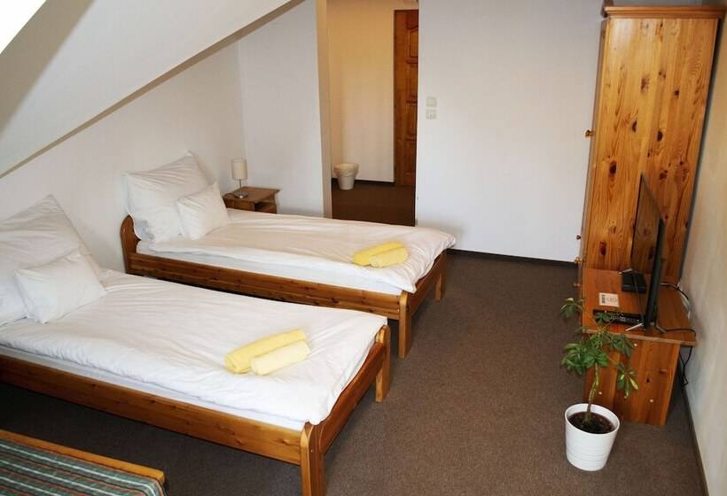 חדר סטנדרט, Grand Slam Park Inn