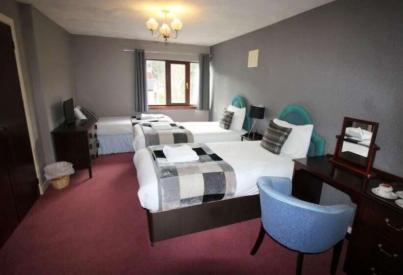 Трехместный Номер Базовый, Achilty Guest House