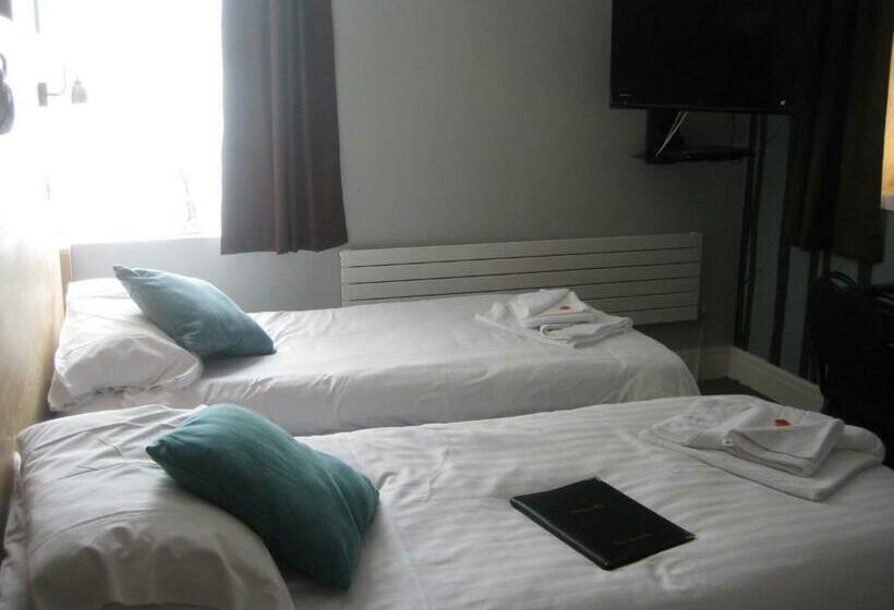 スタンダードトリプルルーム, The Dragonfly